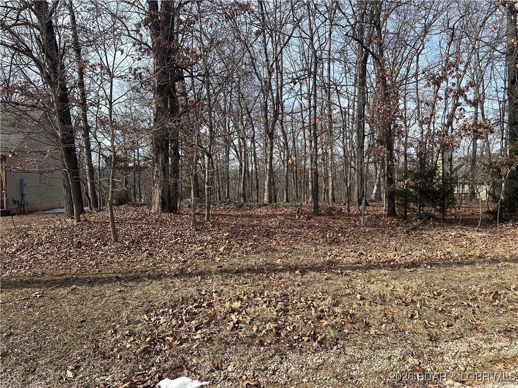 Lot 157 Anemone Road Four Seasons, MO 65049 - Photo 1 of 4 Nice Flat Lot