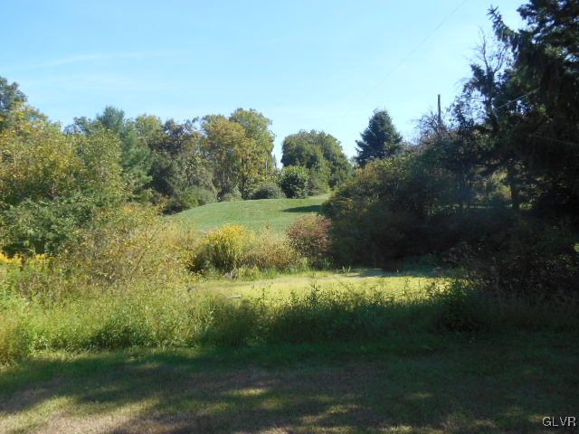4236 Clover Hollow Road Slatington, PA 18080 - Photo 3 of 16