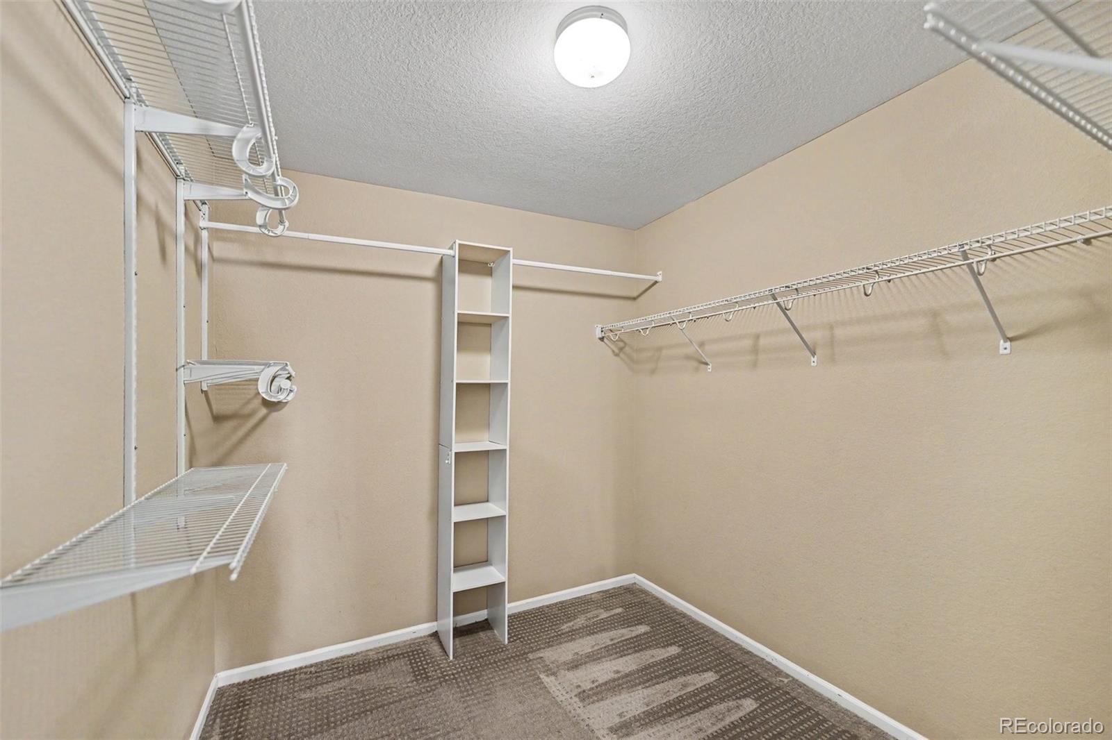 5510 Spring Ridge Trail Castle Rock, CO 80104 - Photo 14 of 34