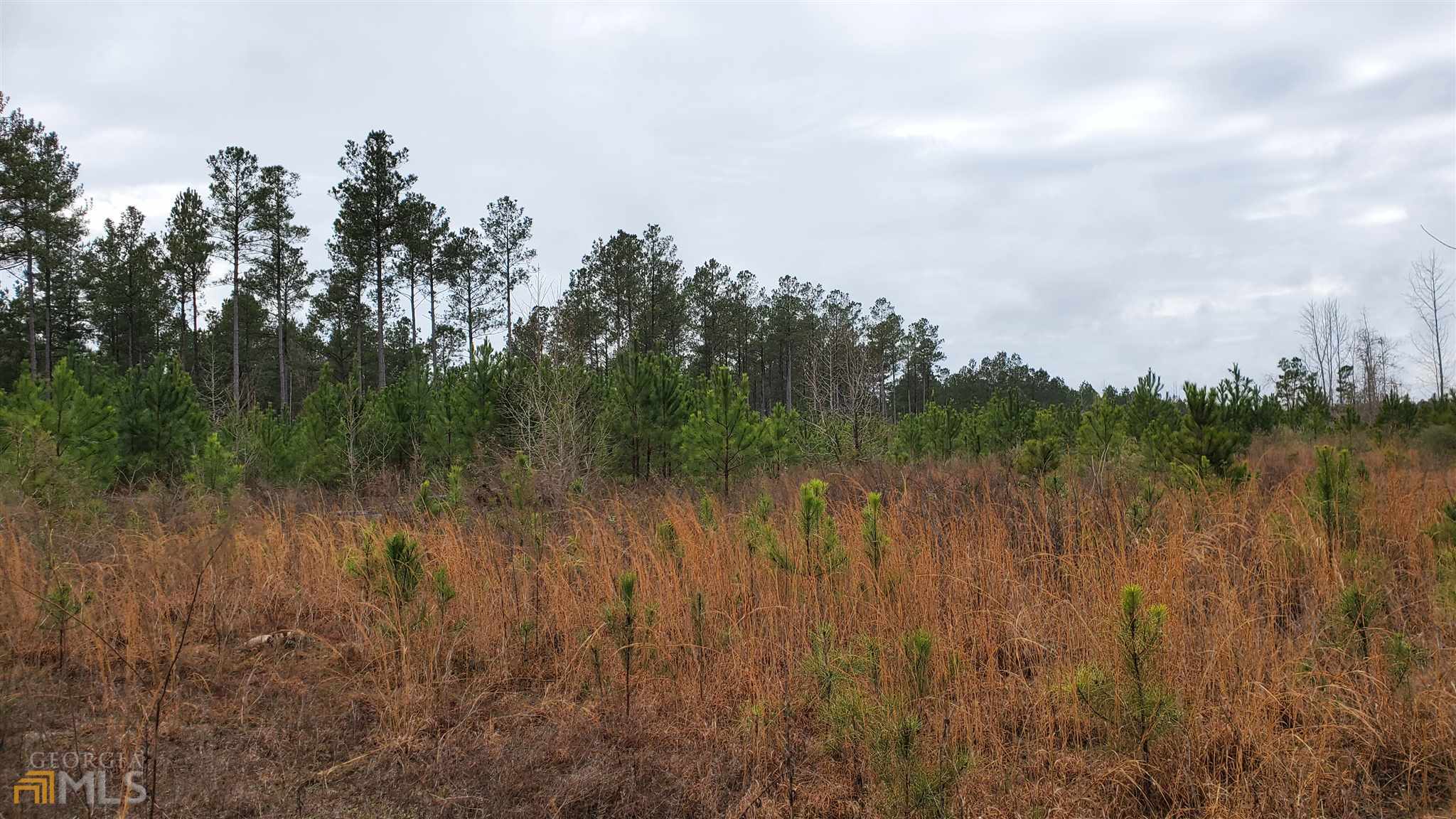 0 Dukes Road Wadley, GA 30413 - Photo 1 of 1 a view of a lake with green space
