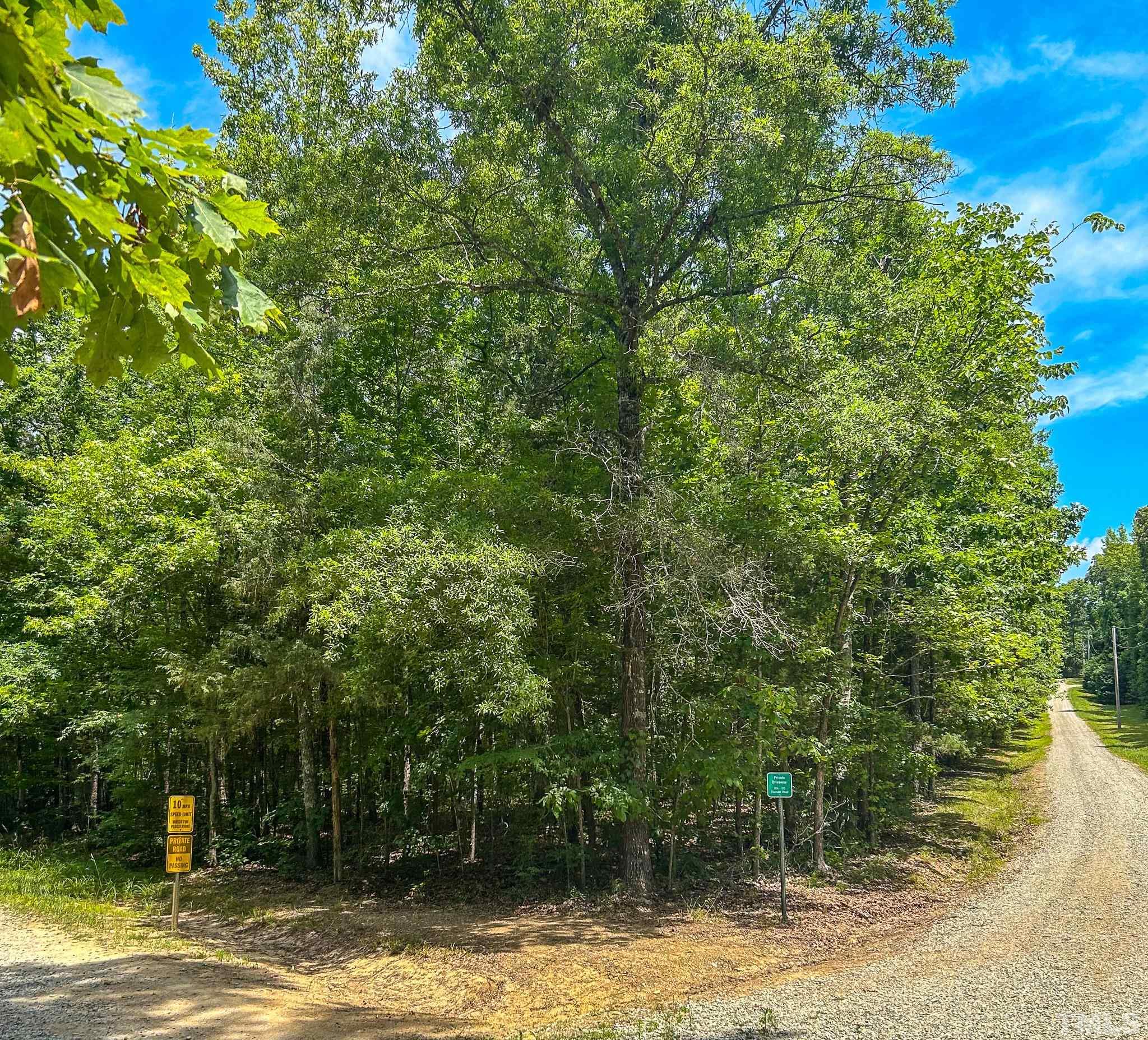 Lot 2 Thunder Road Rougemont, NC 27572 - Photo 1 of 6 a view of a yard with plants