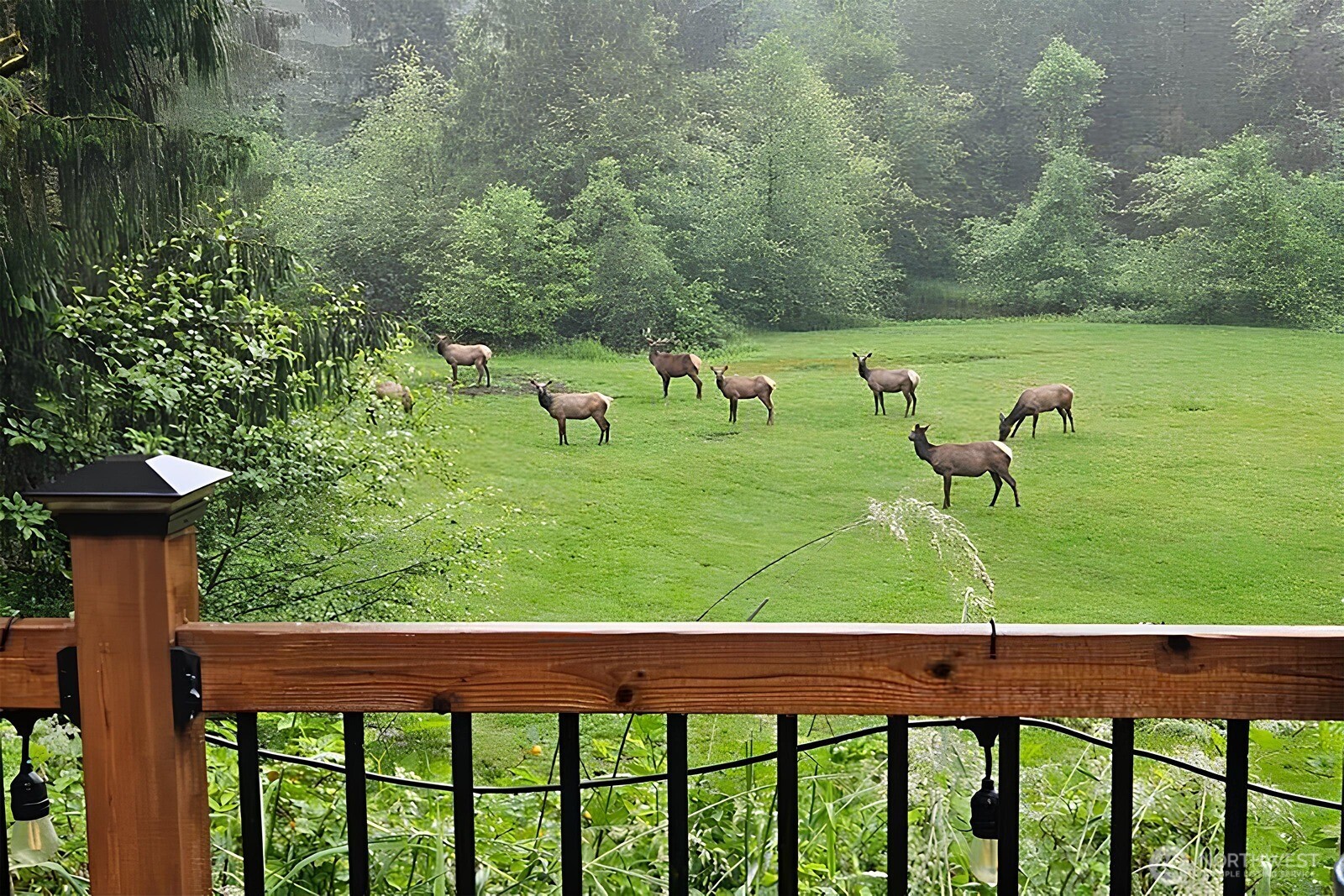 45908 Southeast Edgewick Road North Bend, WA 98045 - Photo 31 of 40 a view of a park