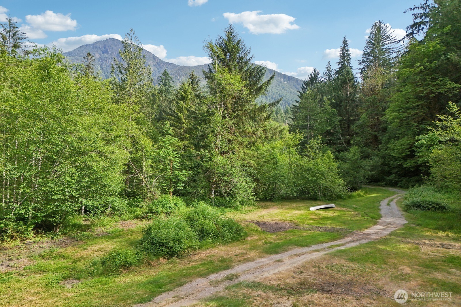 45908 Southeast Edgewick Road North Bend, WA 98045 - Photo 35 of 40 a view of a green yard