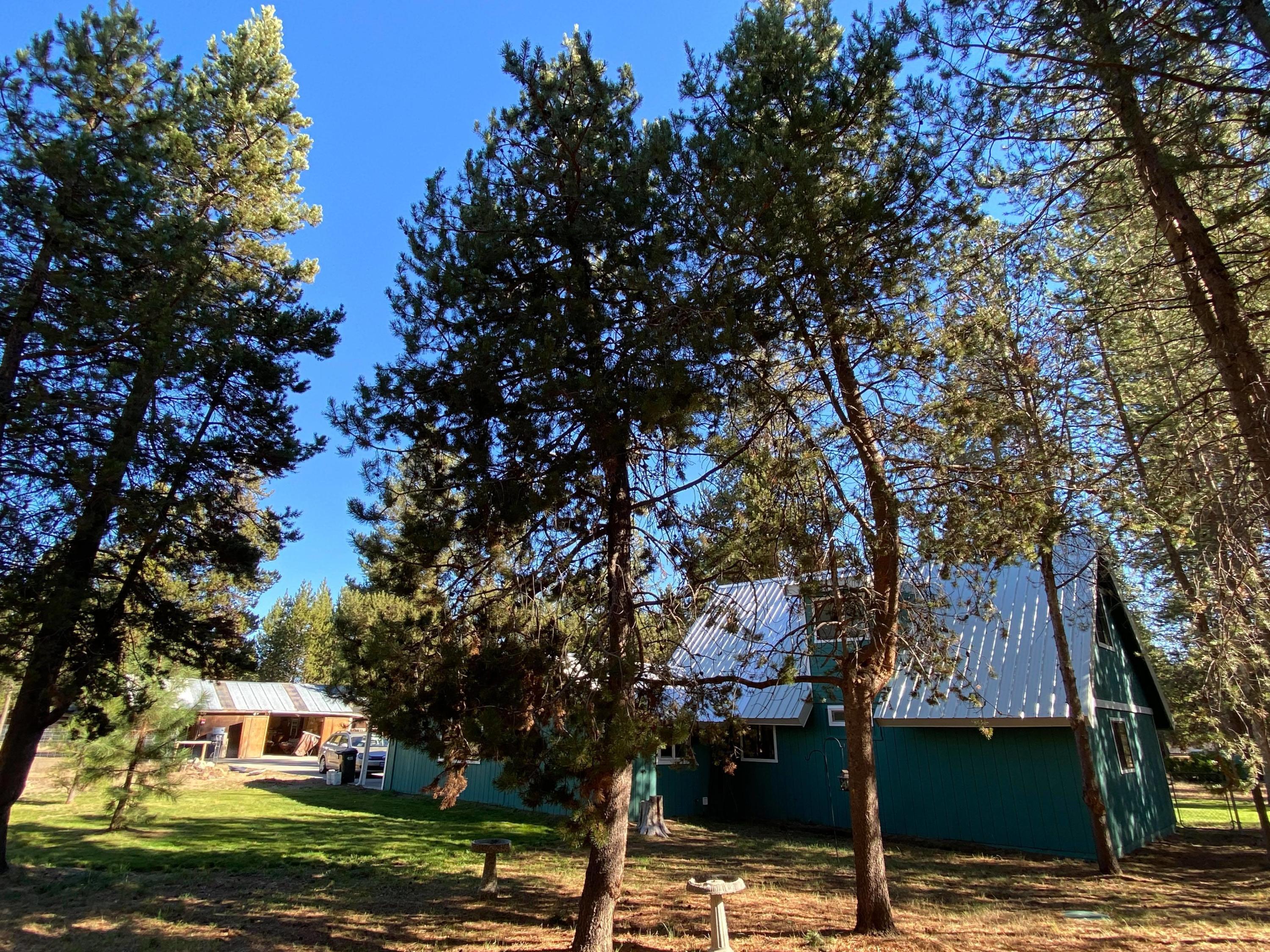 53421 Deep Woods Road La Pine, OR 97739 - Photo 11 of 33 backyard