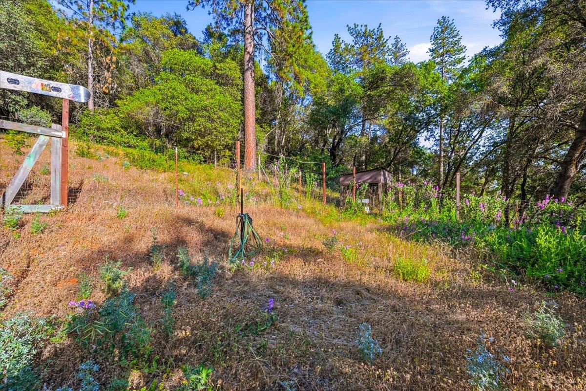 19235 Bumpy Road Grass Valley, CA 95949 - Photo 47 of 60