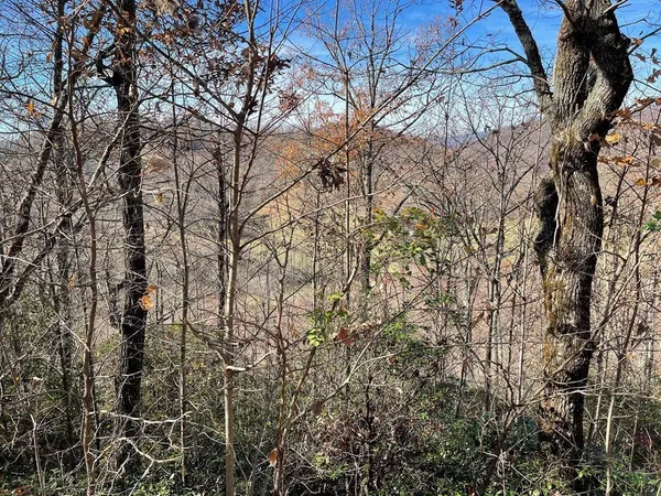 $7,500 | Lot 31 Ash Branch Road, Hayesville, NC 28904