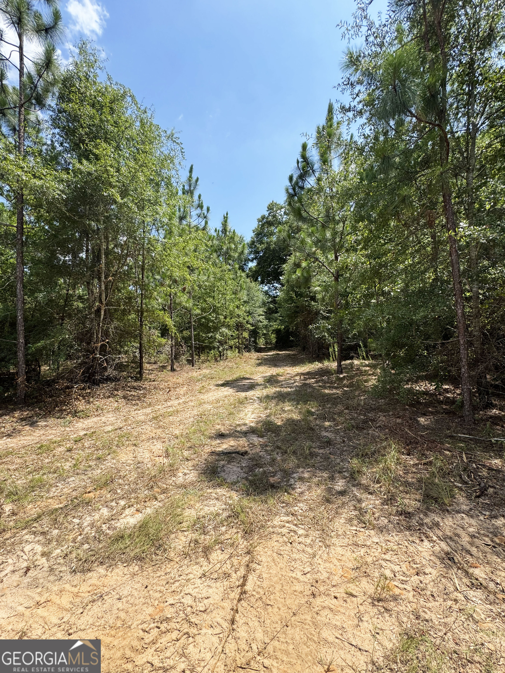 Tbd Tbd Wooten Road Cuthbert, GA 39840 - Photo 56 of 71
