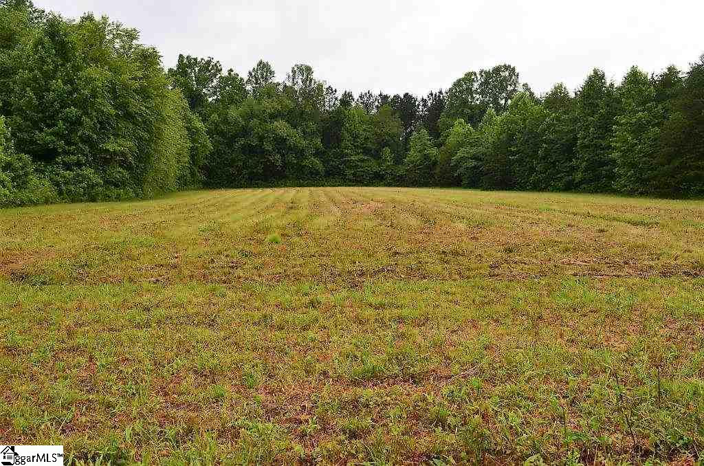 422 Belue Mill Road Landrum, SC 29356 - Photo 22 of 26