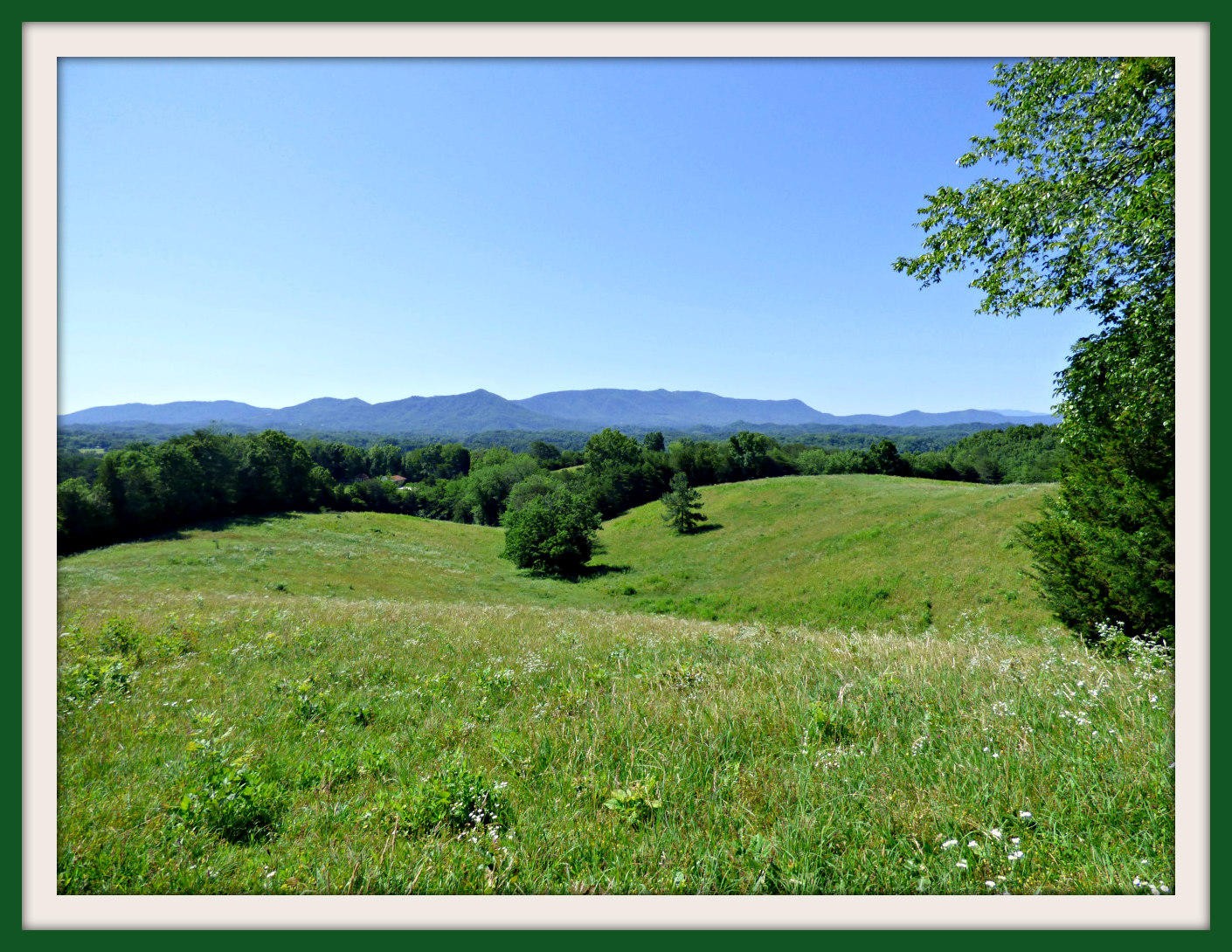 1 Swannsylvania Road Dandridge, TN 37725 - Photo 7 of 19 Gallery Image 7