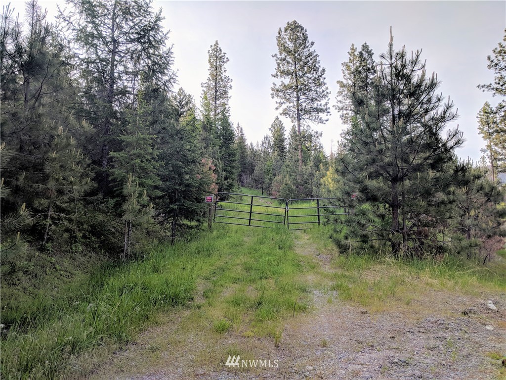 -tbd Wild Turkey Lane Riverside, WA 98849 - Photo 3 of 25 Gallery Image 3