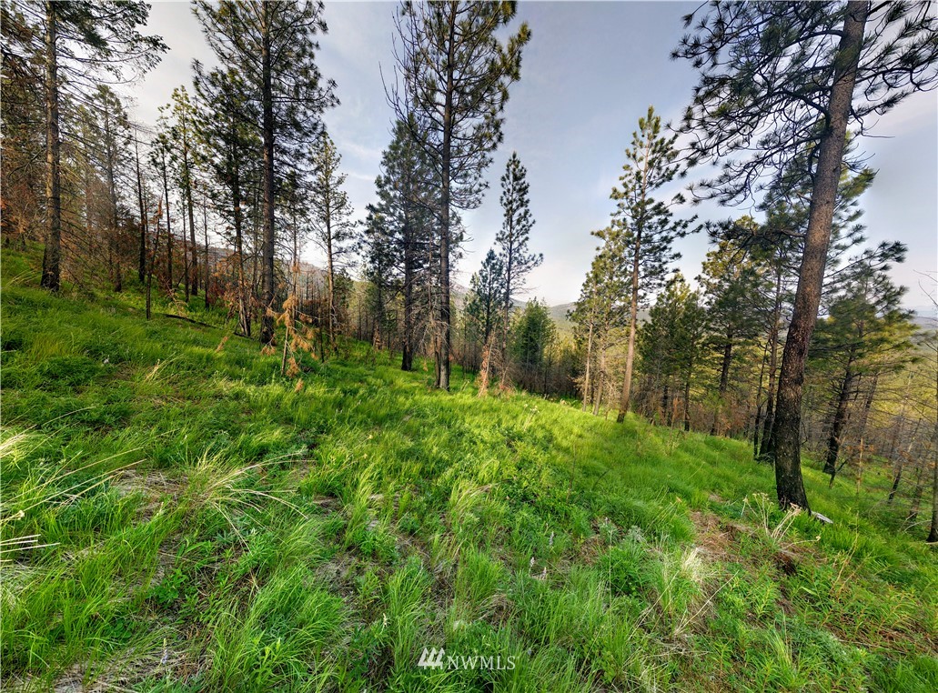-tbd Wild Turkey Lane Riverside, WA 98849 - Photo 22 of 25 Gallery Image 22