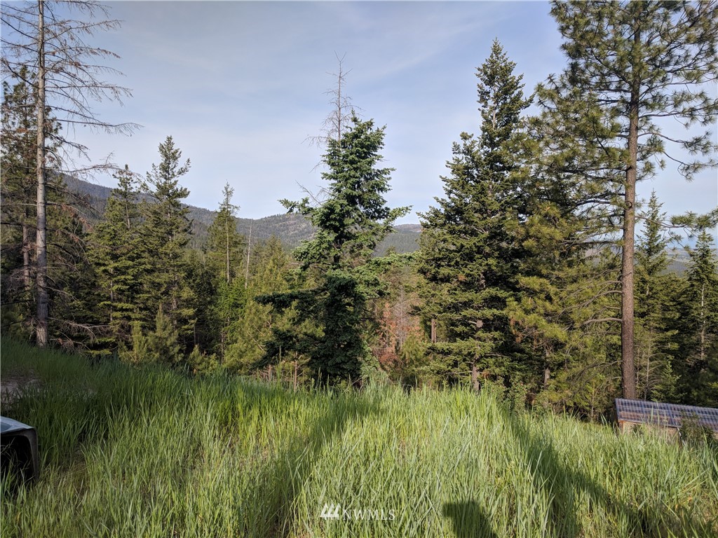 -tbd Wild Turkey Lane Riverside, WA 98849 - Photo 24 of 25 Gallery Image 24