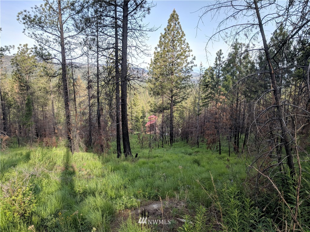 -tbd Wild Turkey Lane Riverside, WA 98849 - Photo 5 of 25 Gallery Image 5