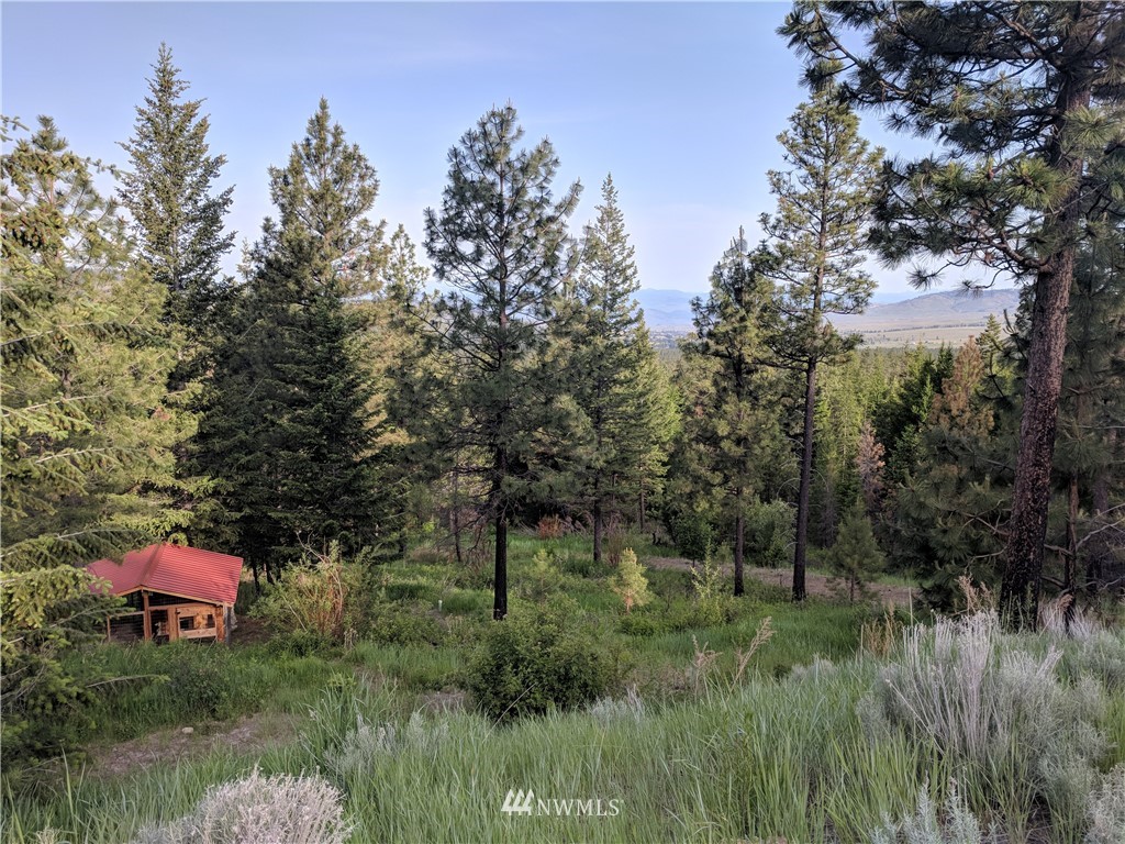 -tbd Wild Turkey Lane Riverside, WA 98849 - Photo 8 of 25 Gallery Image 8