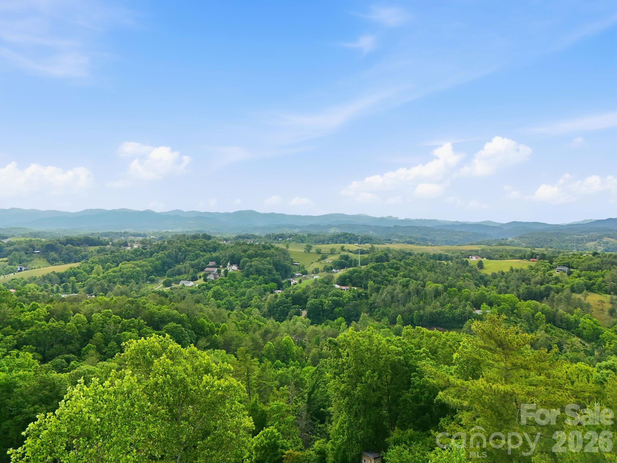 65 Buckle Ridge Weaverville, NC 28787 - Photo 15 of 46