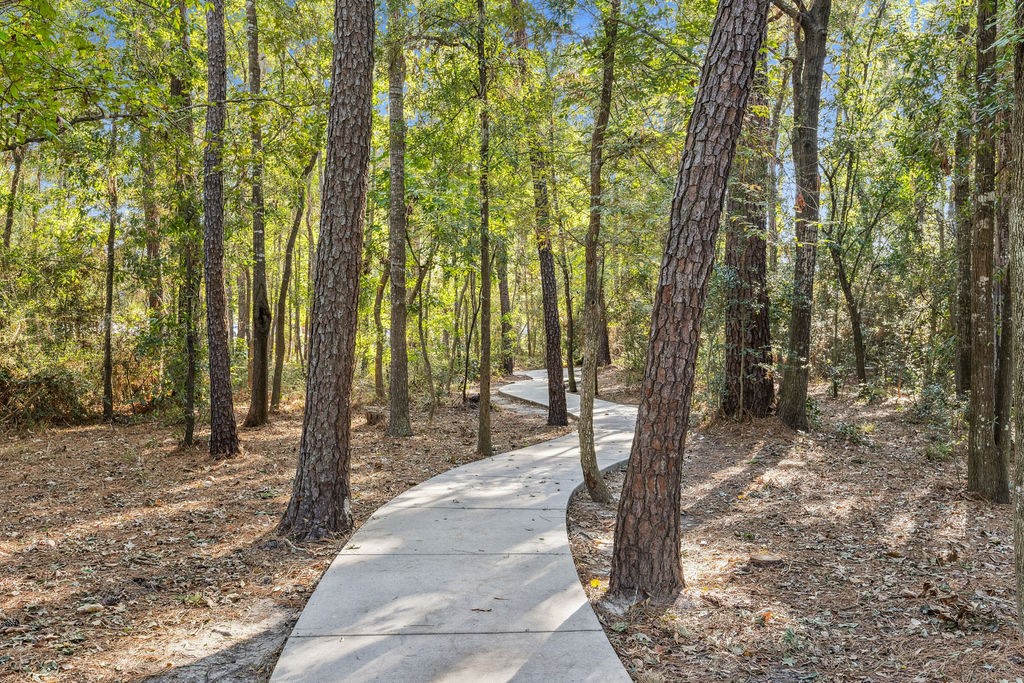 31306 Summit Grove Lane Spring, TX 77386 - Photo 30 of 45 a pathway of a yard
