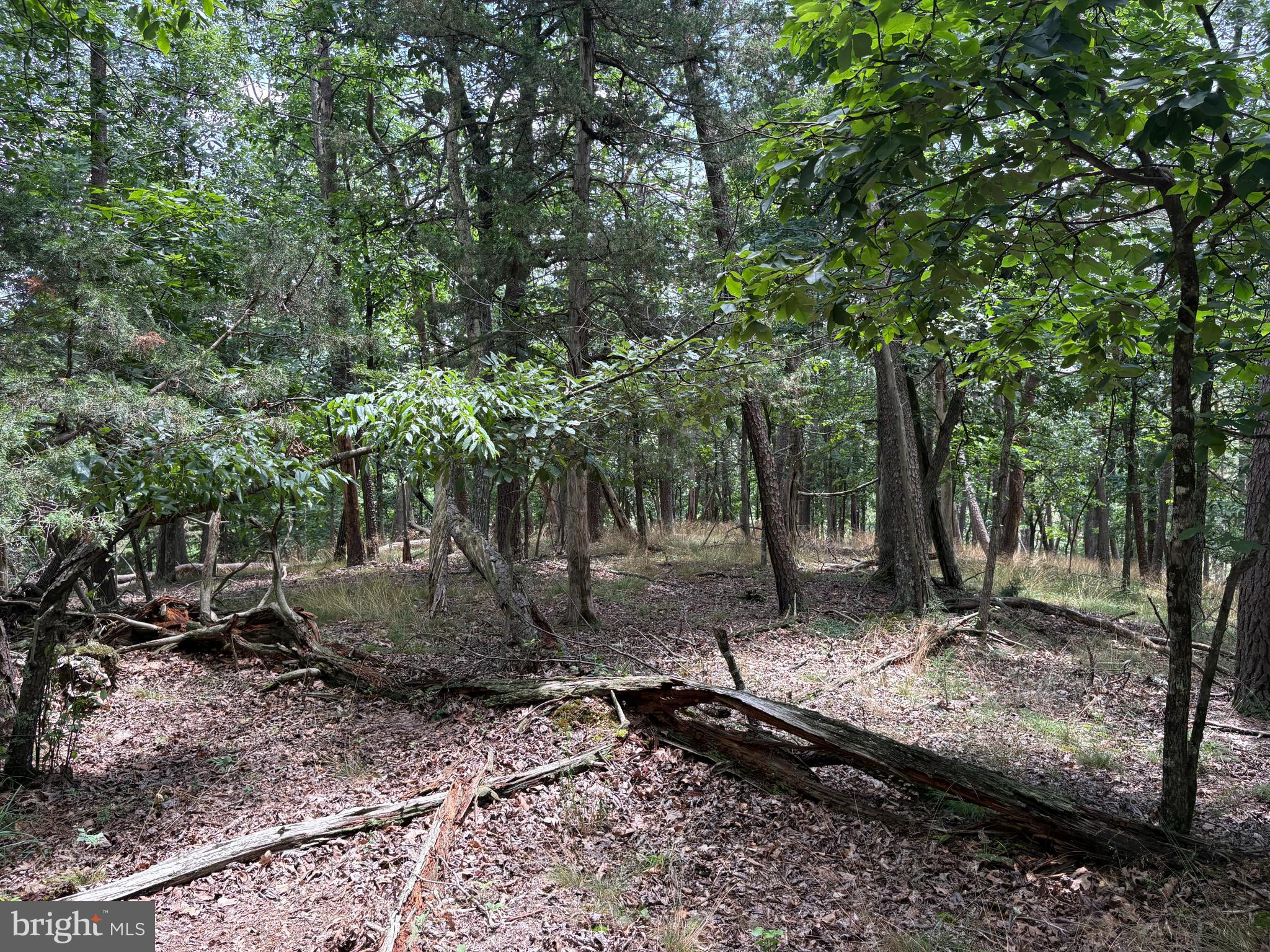 7313 Little Cacapon Road Romney, WV 26757 - Photo 8 of 18