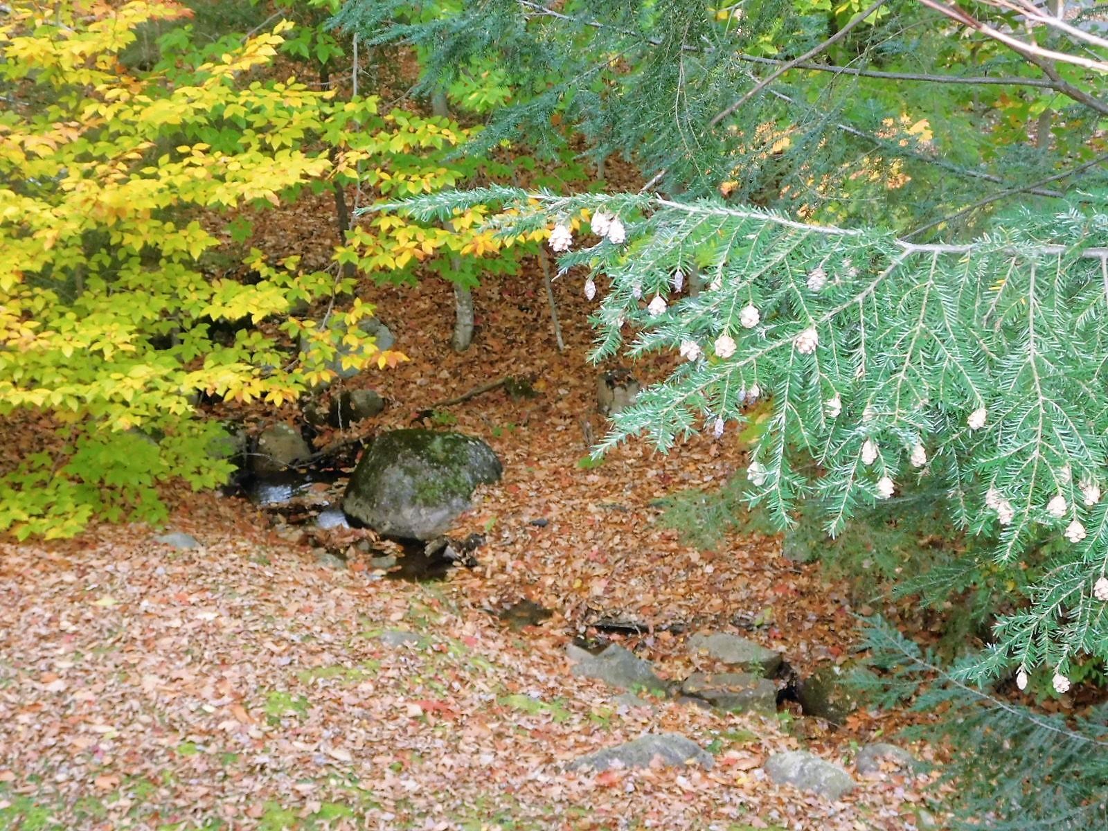 50-2 Fox Run Road Lincoln, NH 03251 - Photo 29 of 40 Gallery Image 29
