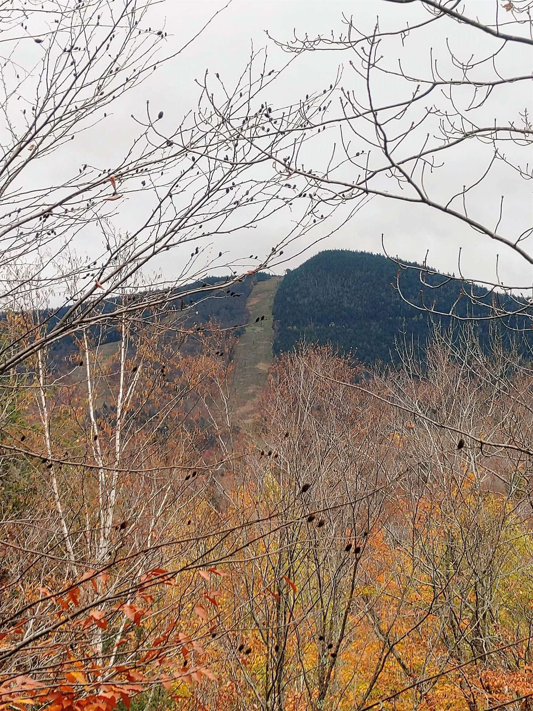 50-2 Fox Run Road Lincoln, NH 03251 - Photo 33 of 40 Gallery Image 33