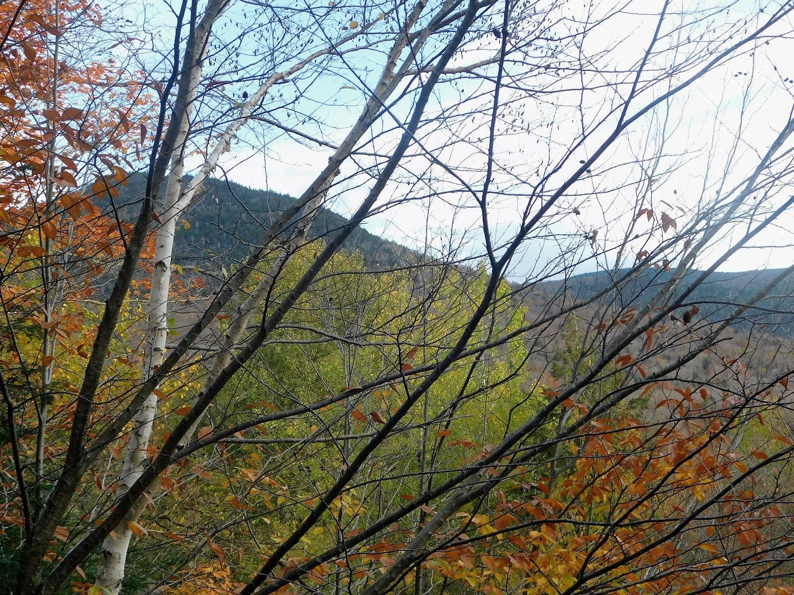 50-2 Fox Run Road Lincoln, NH 03251 - Photo 34 of 40 Gallery Image 34