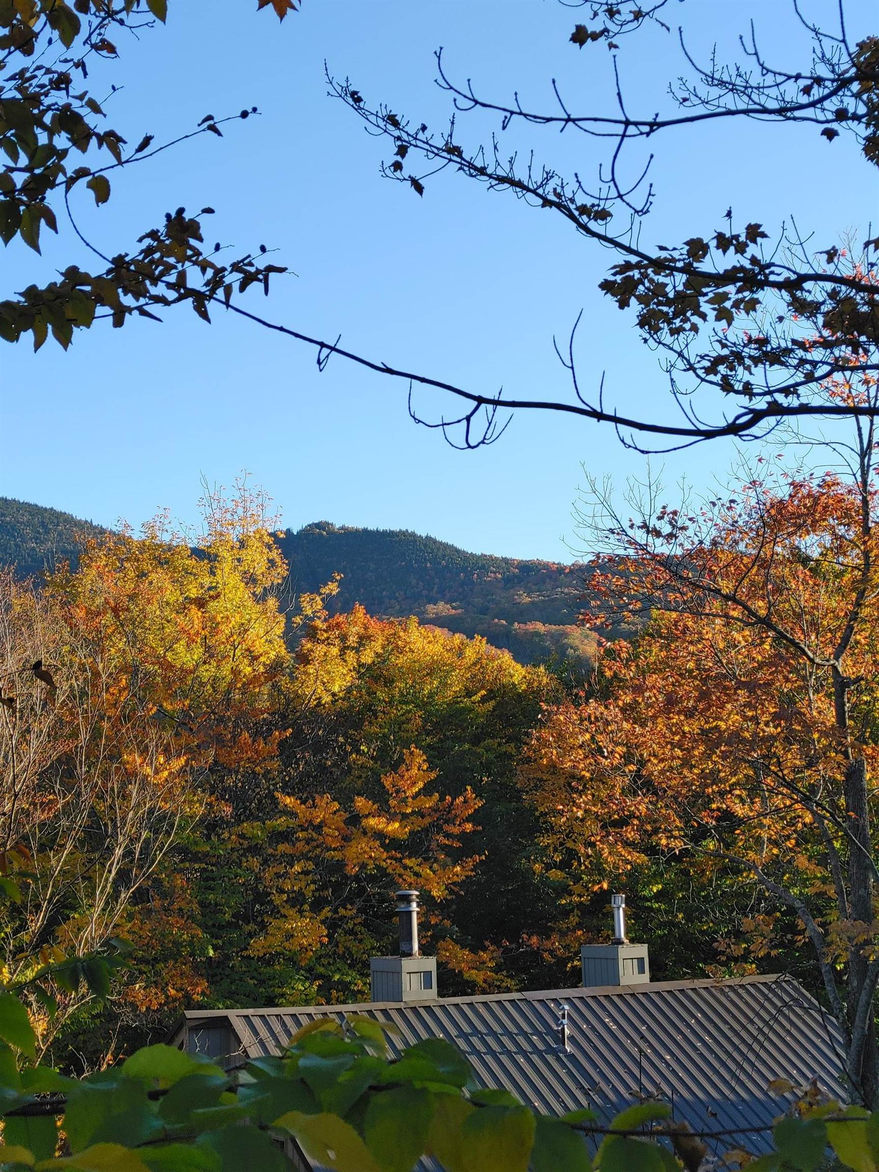 50-2 Fox Run Road Lincoln, NH 03251 - Photo 35 of 40 Gallery Image 35