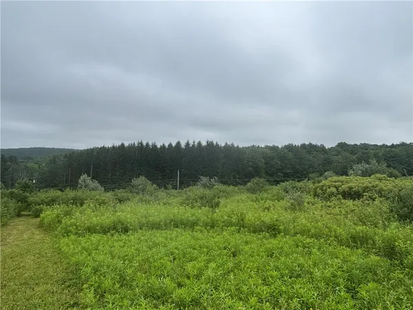 $45,000 | Lot 1 County Route 46, Dansville, NY 14437