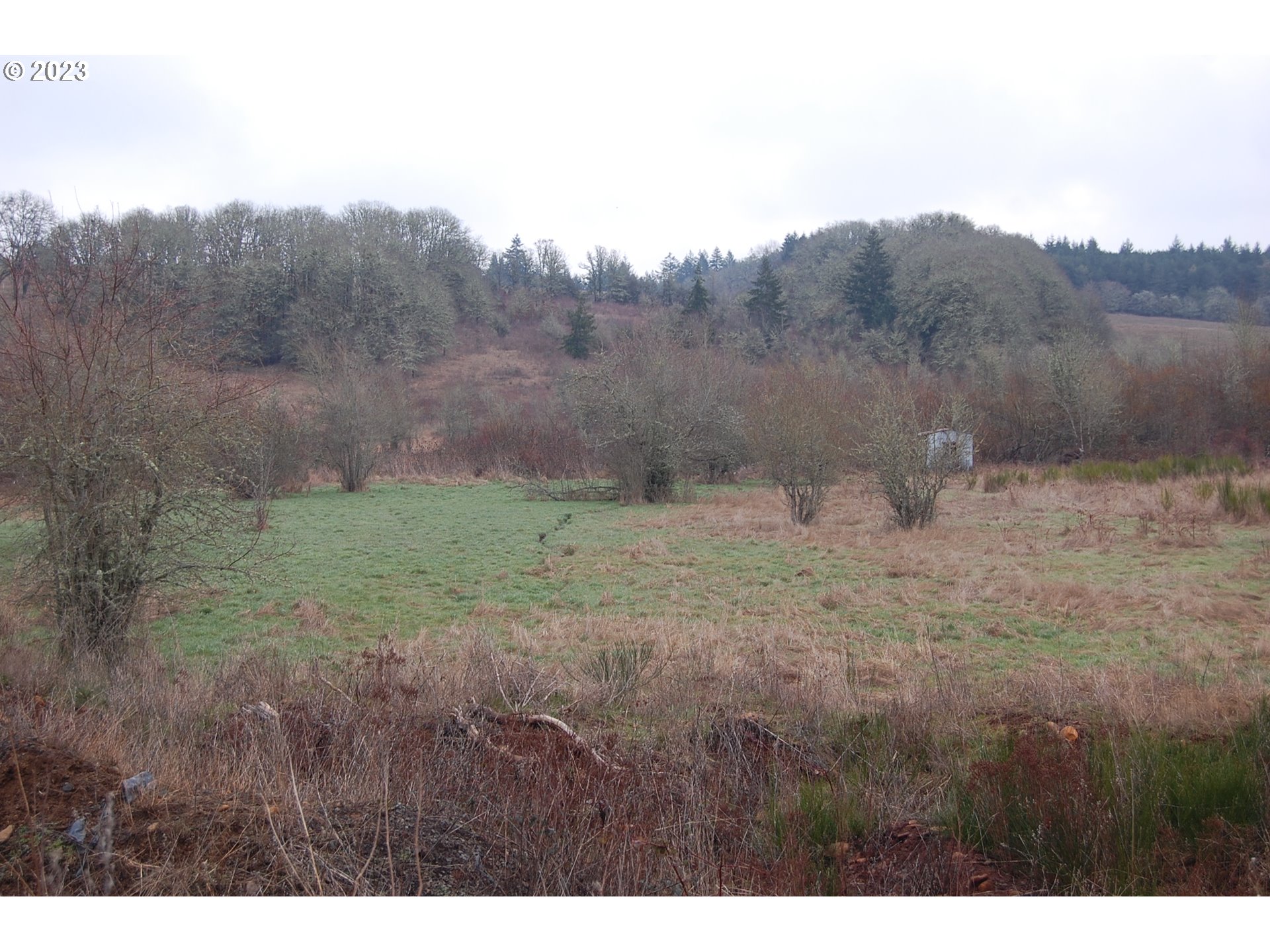 8850 Red Prairie Road Sheridan, OR 97378 - Photo 5 of 26 a view of a dry yard with trees