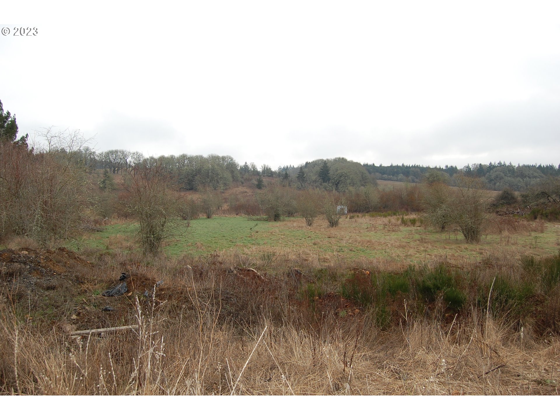 8850 Red Prairie Road Sheridan, OR 97378 - Photo 6 of 26 a view of a lush green field