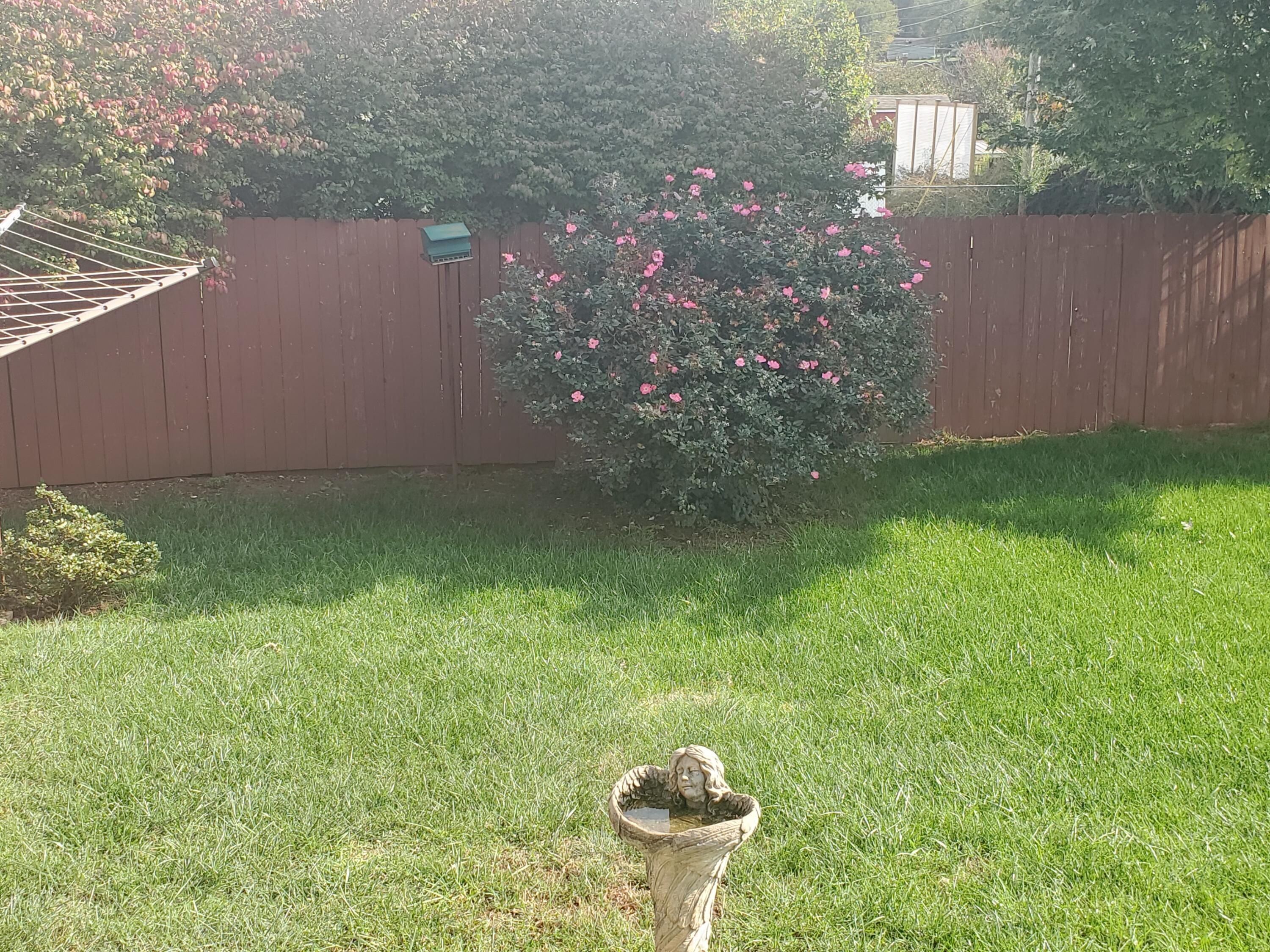 5138 Hazelridge Road Northwest Roanoke, VA 24012 - Photo 16 of 22 Rear Lawn