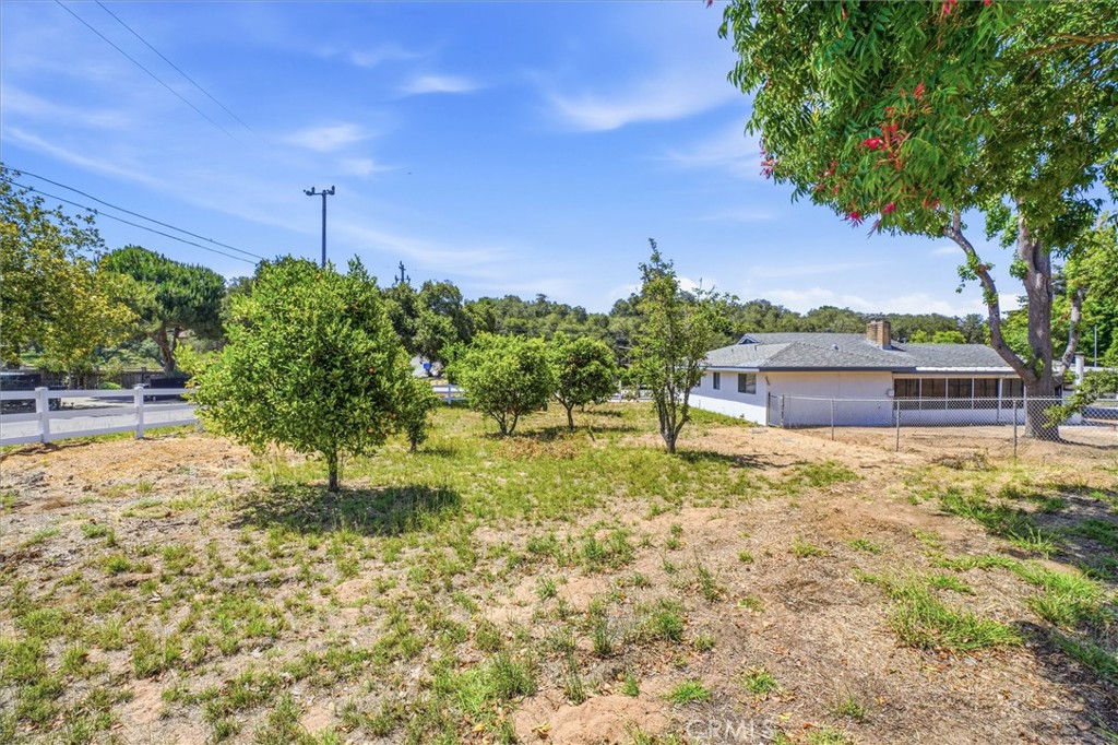 652 Pomeroy Road Nipomo, CA 93444 - Photo 35 of 60 Fruit Tree Orchard