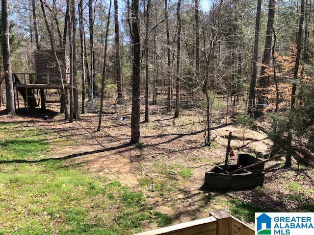 5576 Kelly Creek Road Odenville, AL 35120 - Photo 16 of 16