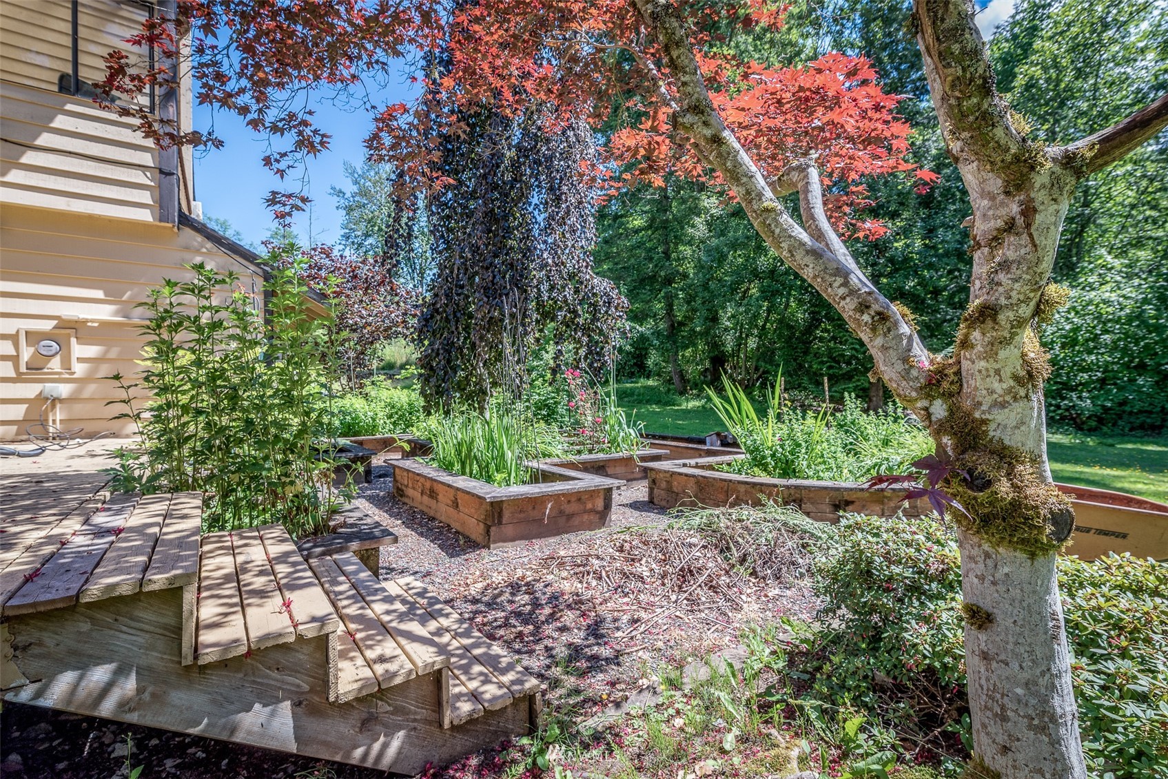 4234 Linnell Road Deming, WA 98244 - Photo 8 of 40 a garden view with a seating space