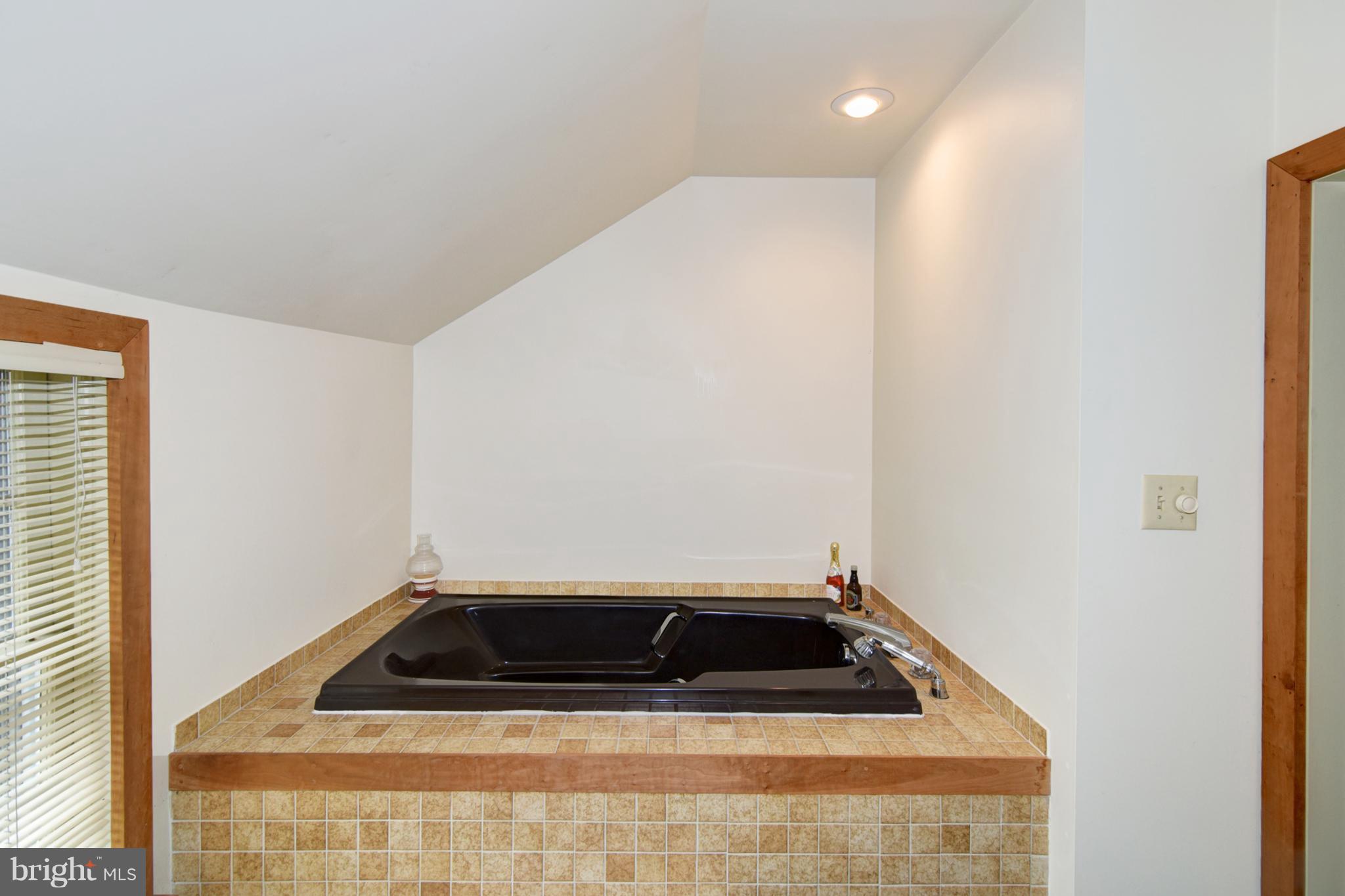 15 Oldfield Point Road Elkton, MD 21921 - Photo 18 of 24 Tub/shower combo