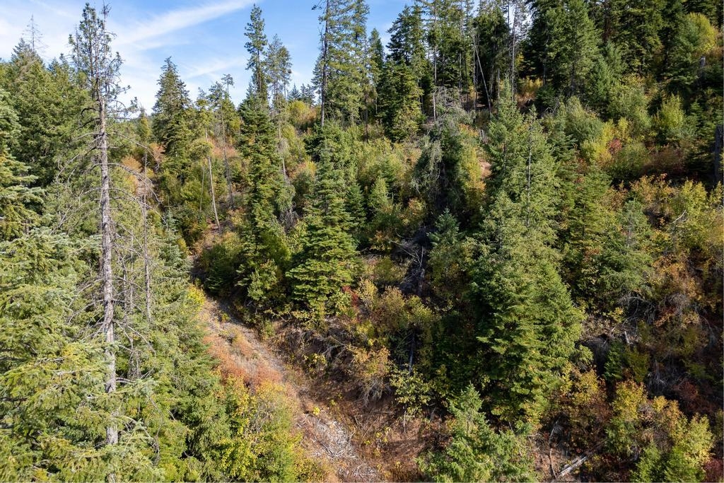 3401 Red Marble Road Valley, WA 99181 - Photo 11 of 49