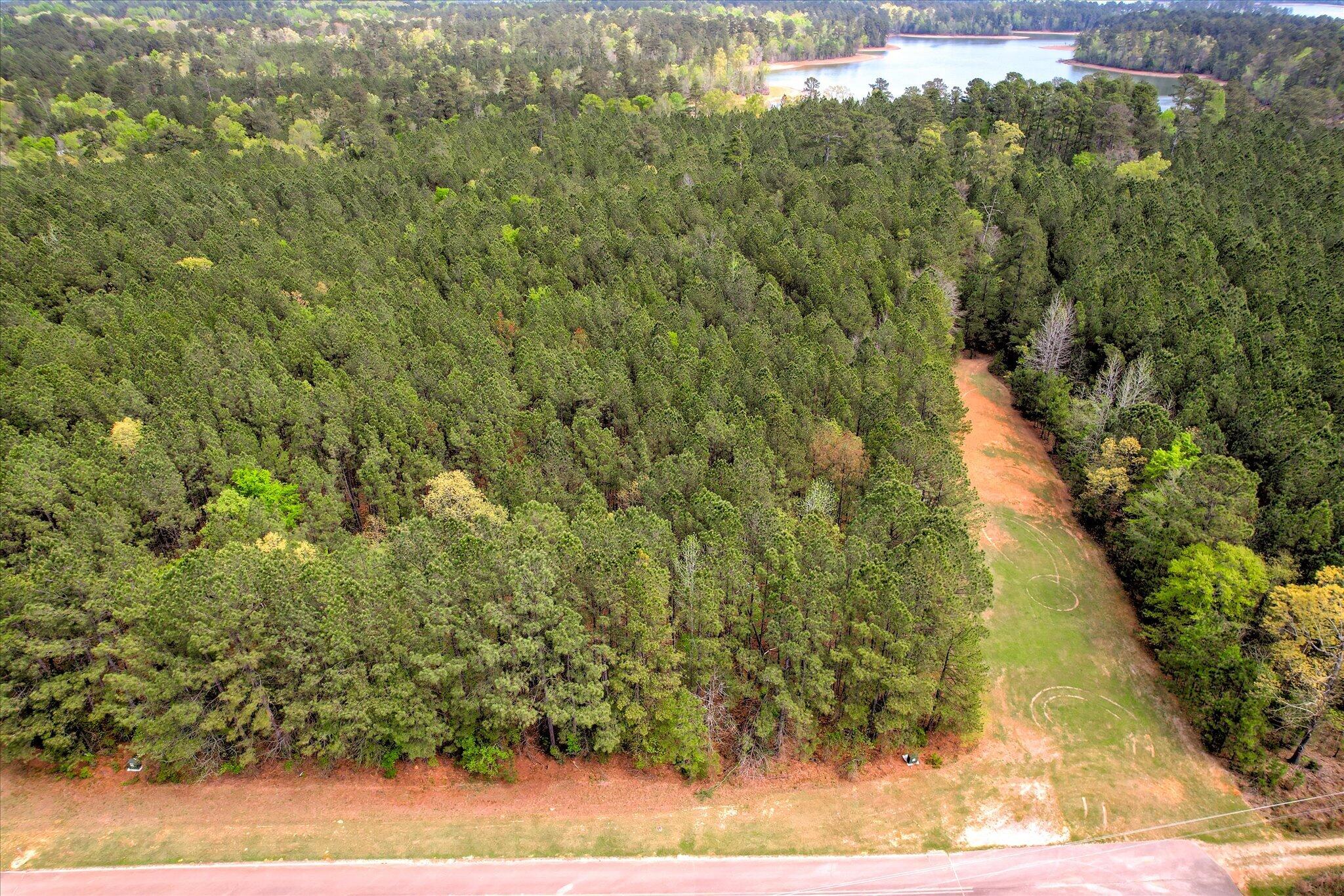 Ariel of Lot 13 Longleaf Pointe