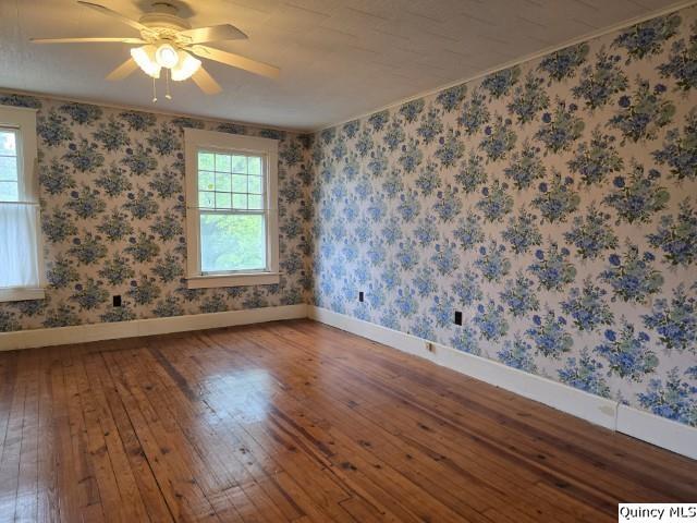 242 Main Street Carthage, IL 62321 - Photo 18 of 28 wooden floor in an empty room with a window