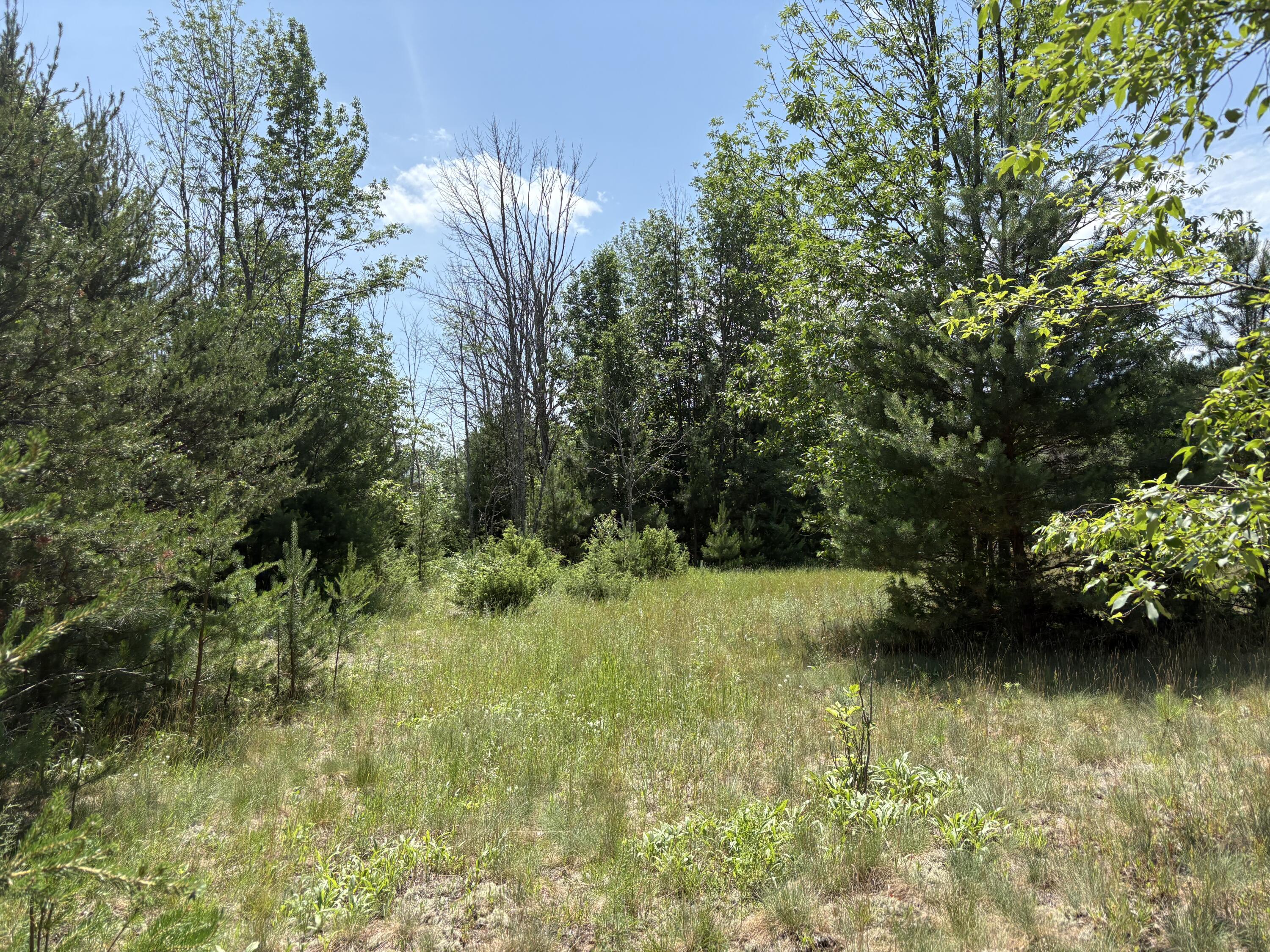 Vl South 210th Avenue Reed City, MI 49677 - Photo 5 of 11 IMG_4753