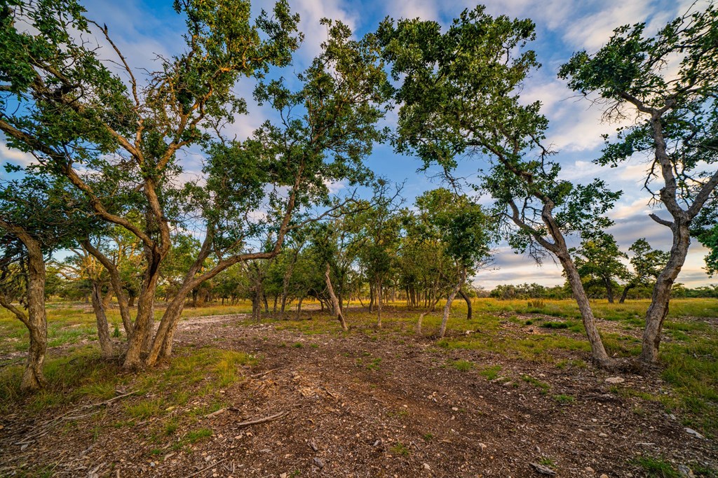 Lot 57 Reservation Road, Unit 57 Harper, TX 78631 - Photo 2 of 6 Gallery Image 2