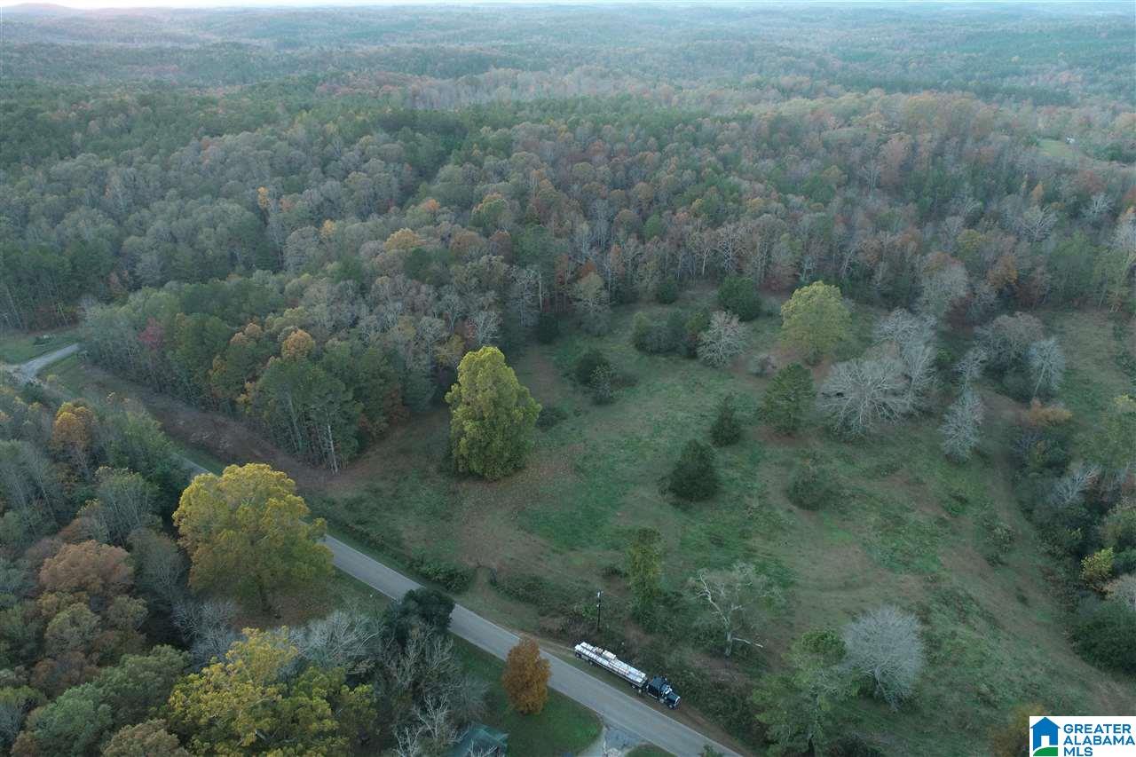 82 County Road Lineville, AL 36266 - Photo 1 of 4