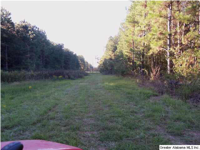 6841 Chesser Road Bessemer, AL 35023 - Photo 15 of 26