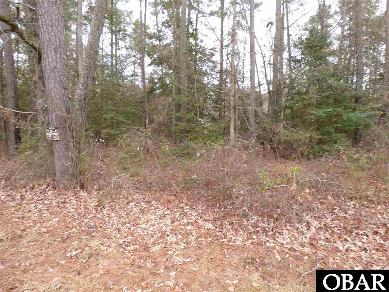 313 Pima Trail Edenton, NC 27932 - Photo 2 of 10