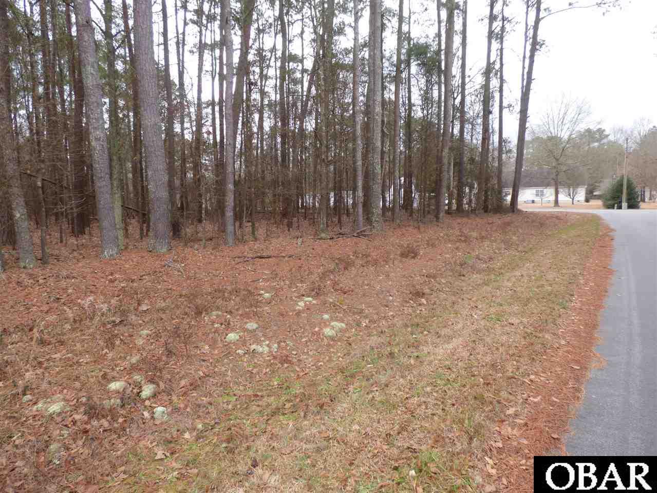 313 Pima Trail Edenton, NC 27932 - Photo 3 of 10