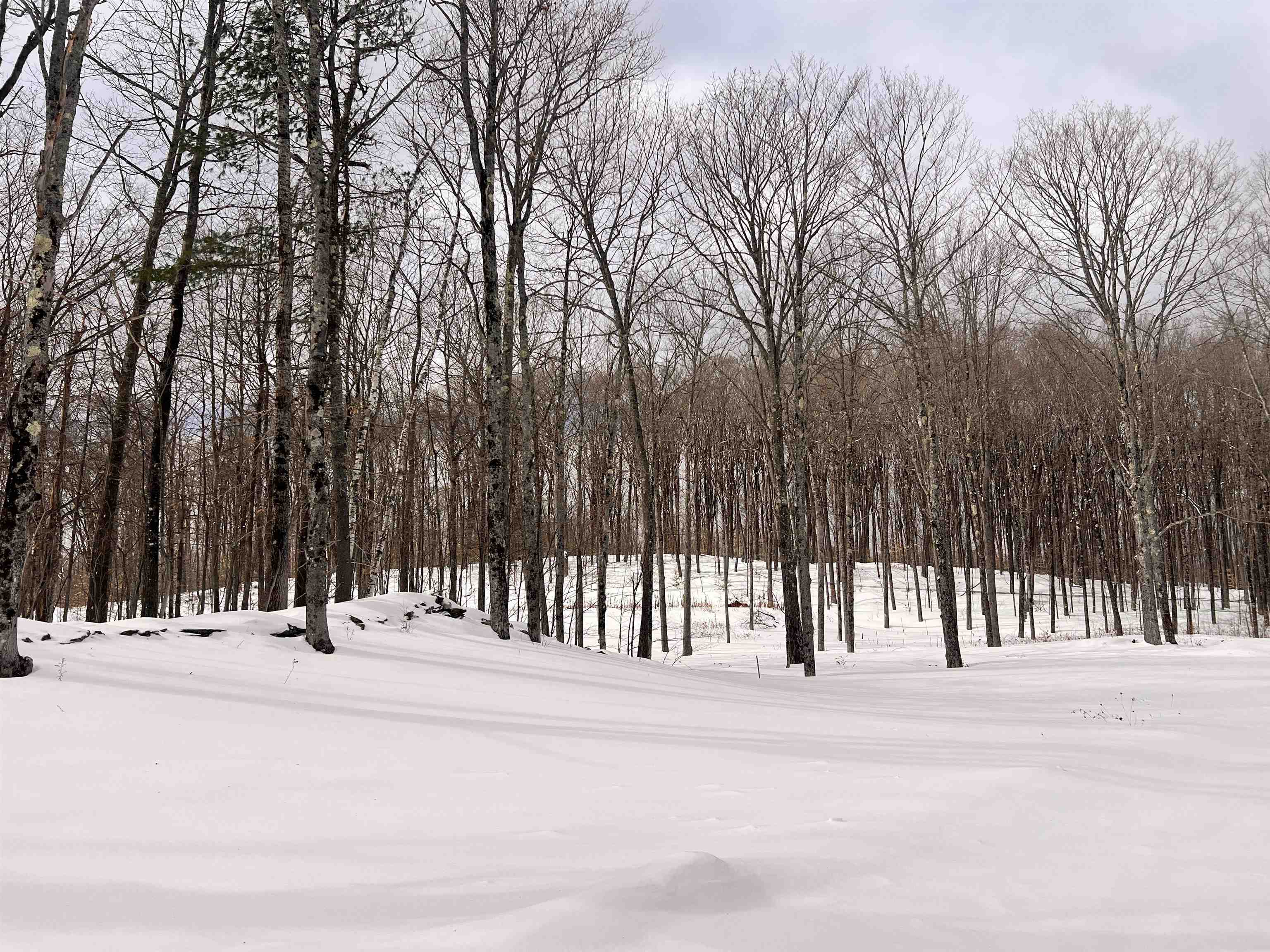 119 Advent Hill Road Hartland, VT 05048 - Photo 33 of 41