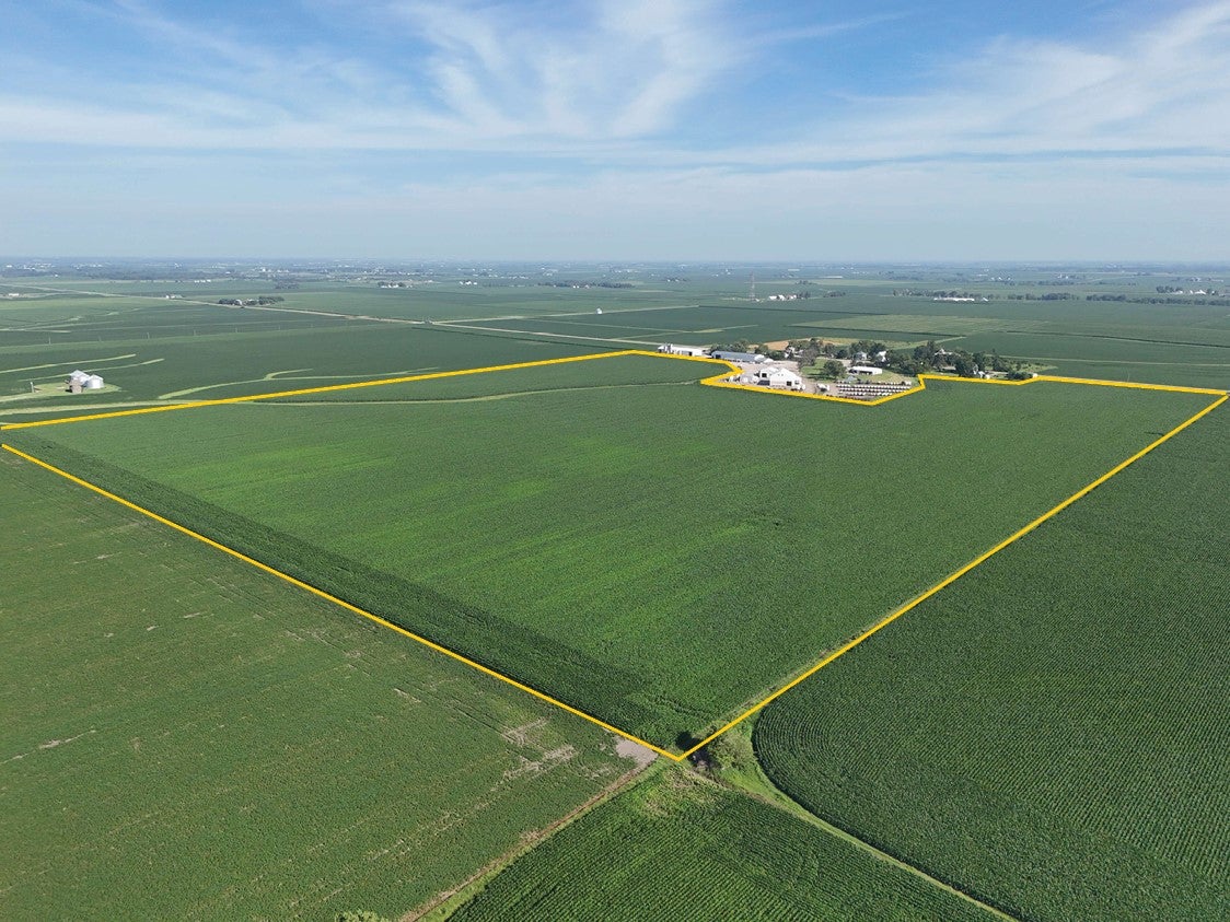 62 Co Road Crawfordsville, IA 52621 - Photo 5 of 10 Gallery Image 5