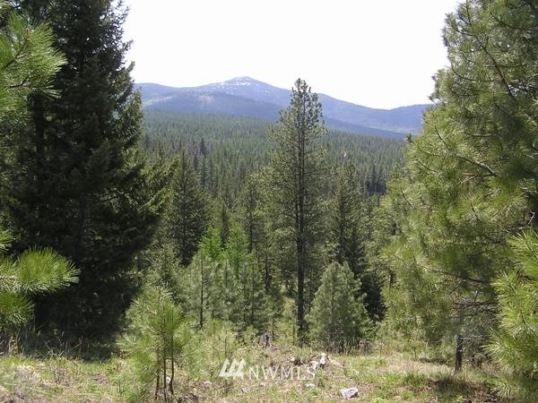 1 Lone Pine Trail Riverside, WA 98849 - Photo 14 of 14 Gallery Image 14