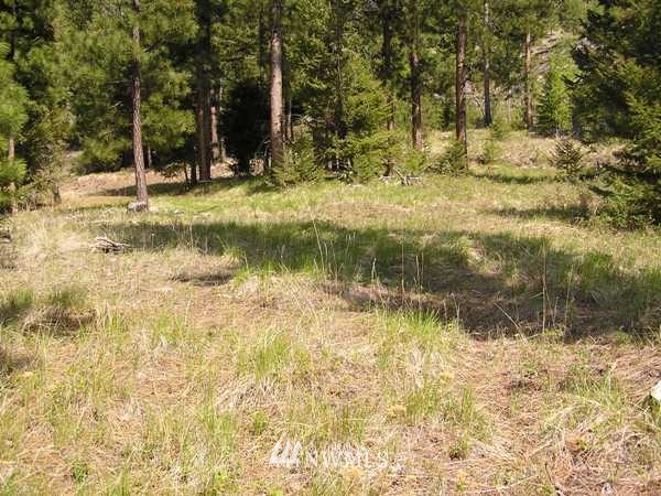 1 Lone Pine Trail Riverside, WA 98849 - Photo 3 of 14 Gallery Image 3