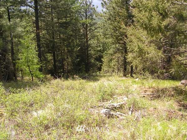 1 Lone Pine Trail Riverside, WA 98849 - Photo 8 of 14 Gallery Image 8