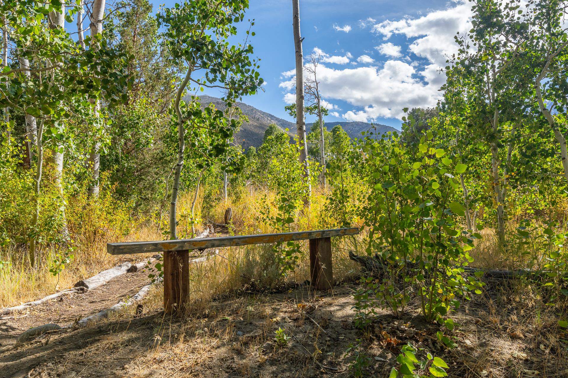 831 Juniper Drive Crowley Lake, CA 93546 - Photo 42 of 50