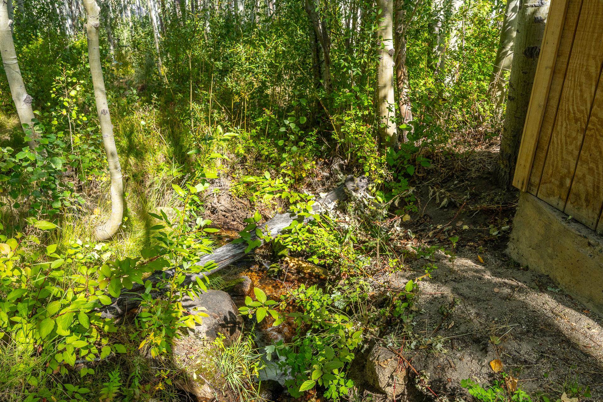 831 Juniper Drive Crowley Lake, CA 93546 - Photo 43 of 50