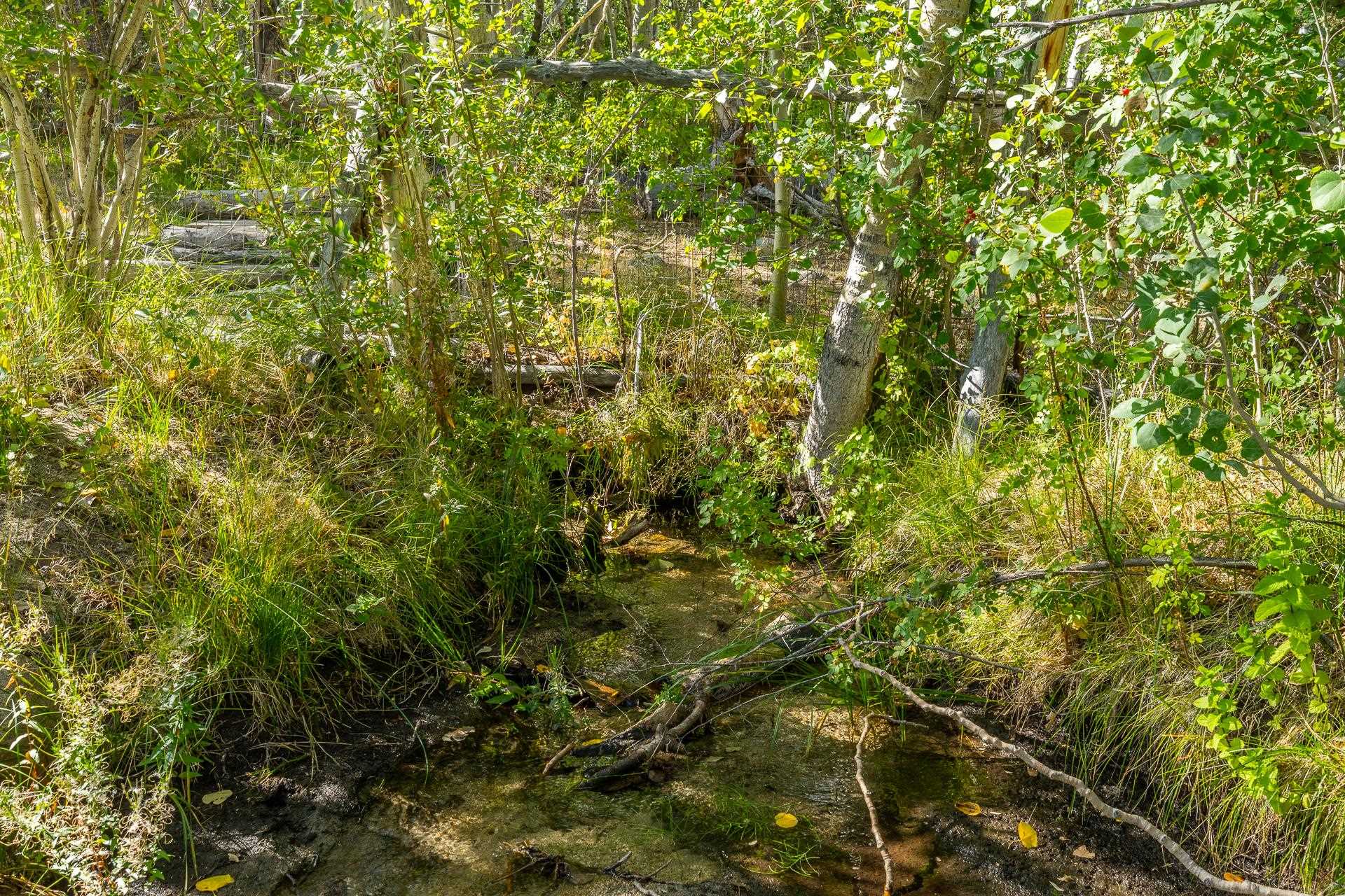 831 Juniper Drive Crowley Lake, CA 93546 - Photo 45 of 50